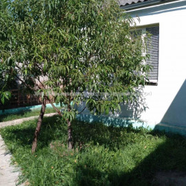 Продам дом, Витебская ул. , 65 м², 6.50 сот., косметический ремонт