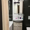 Сдам квартиру, Большая Панасовская ул. , 1  ком., 33 м², капитальный ремонт 