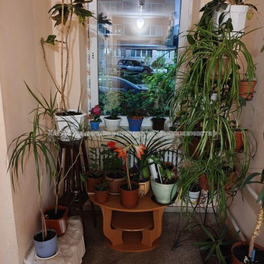 Сдам квартиру, Тракторостроителей просп. , 2  ком., 77 м², капитальный ремонт 