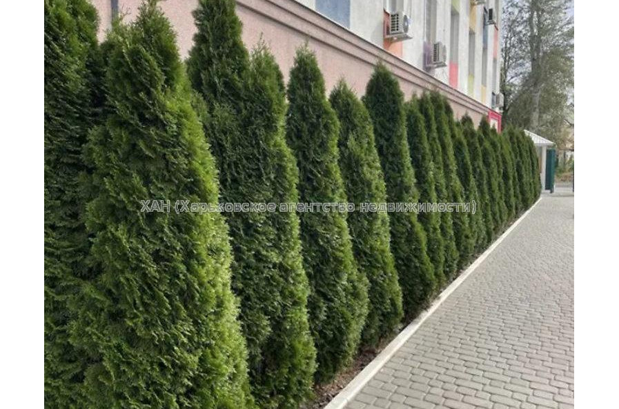 Продам квартиру, Шевченковский пер. , 1  ком., 18.80 м², без внутренних работ 