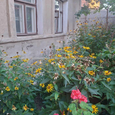 Продам квартиру, Столярный пер. , 1  ком., 29 м², косметический ремонт 