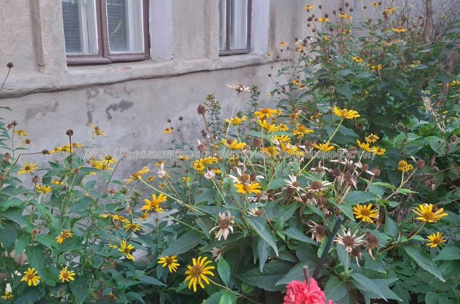 Продам квартиру, Столярный пер. , 1  ком., 29 м², косметический ремонт 