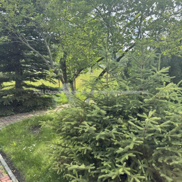 Продам будинок, 150 м², 20 соток, советский ремонт 