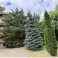 Продам дом, Барабашова академика ул. , 307 м², 10 сот., евроремонт 