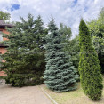 Продам дом, Барабашова академика ул. , 307 м², 10 сот., евроремонт 