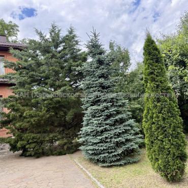 Продам дом, Барабашова академика ул. , 307 м², 10 сот., евроремонт 