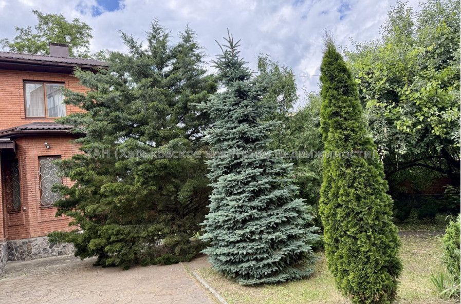 Продам дом, Барабашова академика ул. , 307 м², 10 сот., евроремонт 