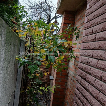 Продам будинок, Ирининская ул. , 80 м², 3 соток, советский ремонт 