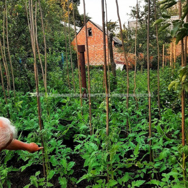 Продам будинок, 57 м², 7 соток, советский ремонт 