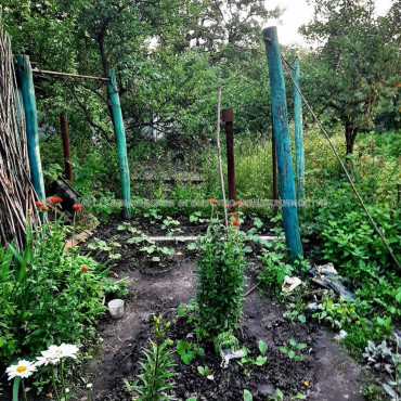 Продам будинок, 57 м², 7 соток, советский ремонт 