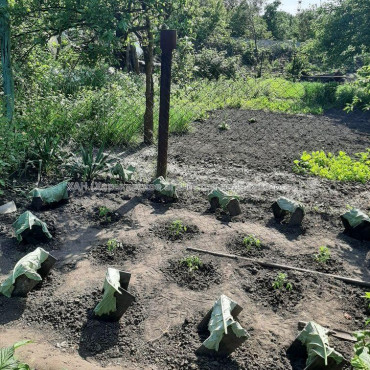 Продам будинок, 57 м², 7 соток, советский ремонт 