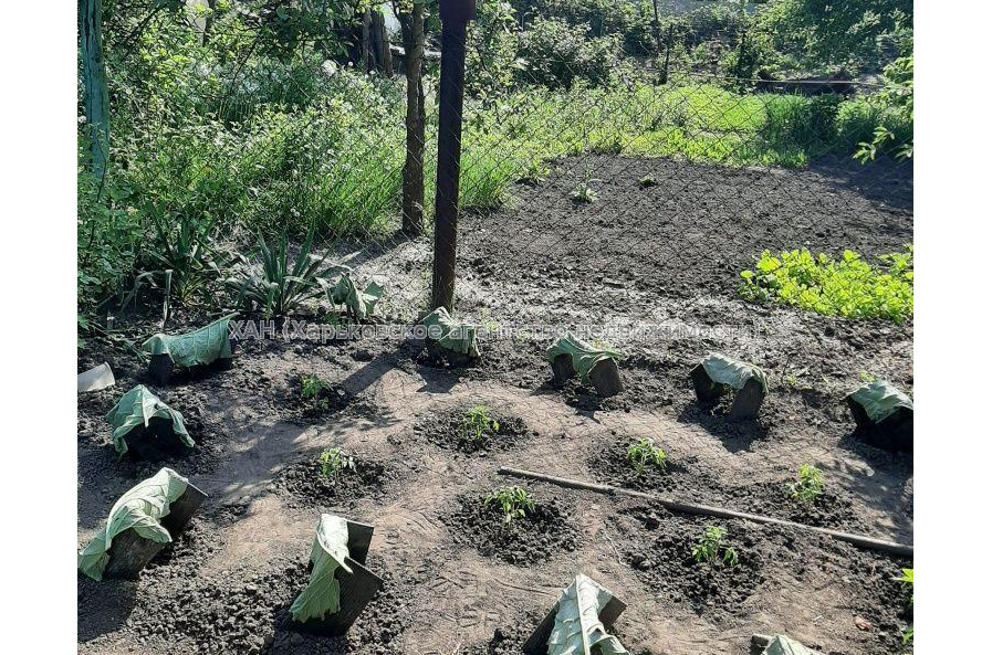 Продам будинок, 57 м², 7 соток, советский ремонт 