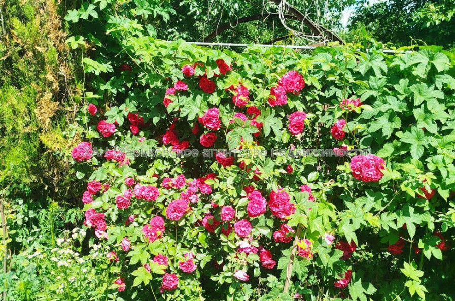 Продам будинок, 57 м², 7 соток, советский ремонт 