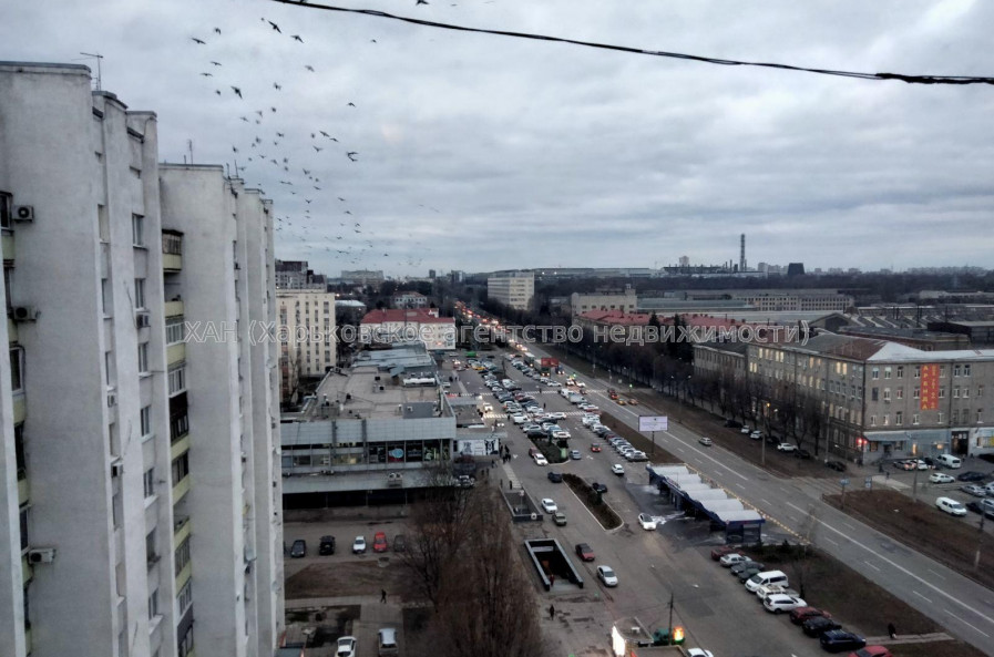 Сдам квартиру, Георгия Тарасенко ул. , 1  ком., 35 м², советский ремонт 