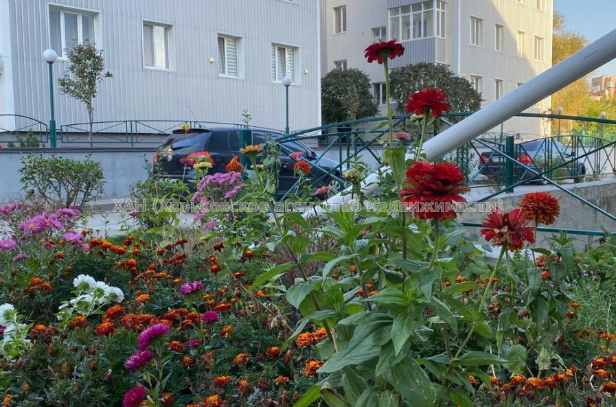 Продам квартиру, Букова ул. , 1 кім., 35 м², евроремонт 