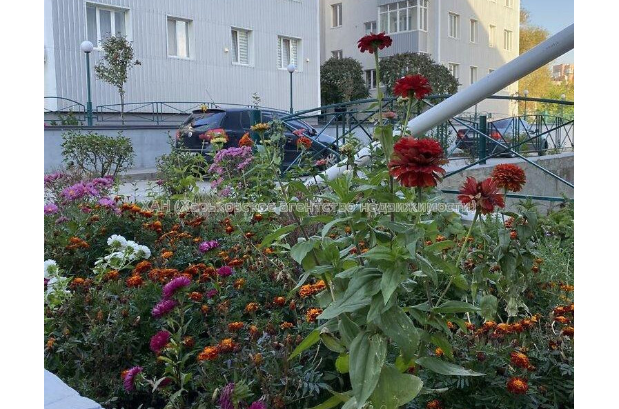 Продам квартиру, Букова ул. , 1 кім., 35 м², евроремонт 