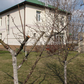 Продам дом, Вокзальная ул. , 239 м², 17 сот., капитальный ремонт