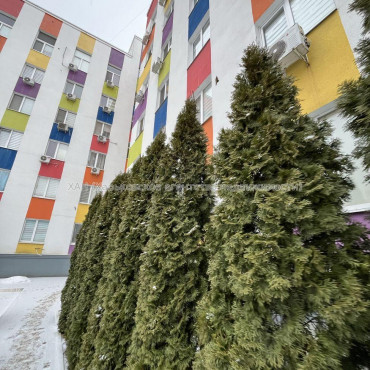 Продам квартиру, Шевченковский пер. , 1 кім., 18.20 м², евроремонт 