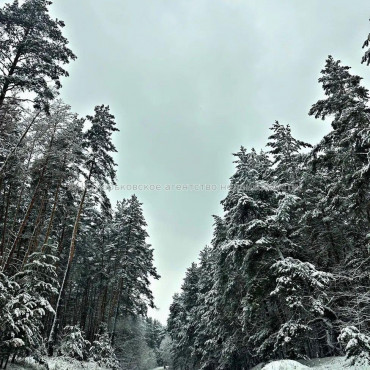 Продам дом, Промышленная ул. , 65 м², 25 сот., без внутренних работ 