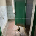 Продам квартиру, Мира ул. , 1 кім., 15.60 м², косметический ремонт 