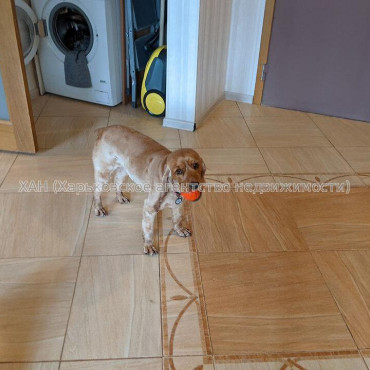 Продам квартиру, Академика Павлова ул. , 3  ком., 84.20 м², косметический ремонт 