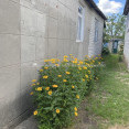 Продам будинок, Парковая ул. , 65 м², 2 соток, косметический ремонт 