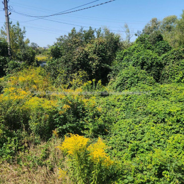 Продам дом, Аральская ул. , 278 м², 8 сот., советский ремонт 