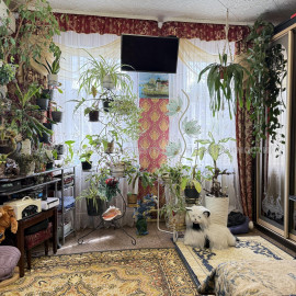 Продам дом, Нахичеванский пер. , 9 , 100 м², 5 сот., косметический ремонт