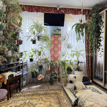 Продам дом, Нахичеванский пер. , 9 , 100 м², 5 сот., косметический ремонт 