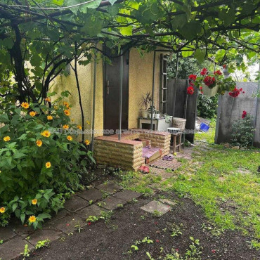 Продам дом, Кривая ул. , 32.50 м², 15 сот., косметический ремонт 