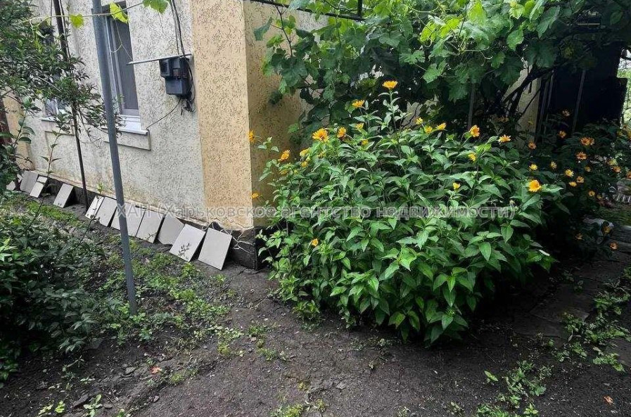 Продам дом, Кривая ул. , 32.50 м², 15 сот., косметический ремонт 