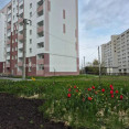 Продам квартиру, Шевченковский пер. , 1 кім., 42.20 м², без внутренних работ 
