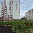 Продам квартиру, Шевченковский пер. , 1  ком., 42.20 м², без внутренних работ 