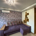 Продам квартиру, Александра Олеся ул. , 2 кім., 43.90 м², капитальный ремонт 