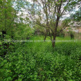 Продам квартиру, Карачевское шоссе , 3 кім., 67 м², советский ремонт 