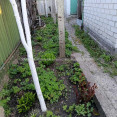 Продам дом, Лесная ул. , 52 м², 1 сот., советский ремонт 