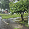Продам квартиру, Академика Павлова ул. , 2  ком., 43.10 м², косметический ремонт 