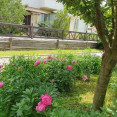 Продам квартиру, Новоалександровская ул. , 2 кім., 55 м², авторский дизайн 