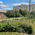 Продам дом, Петра Болбочана ул. , 37 м², 3 сот., советский ремонт 