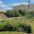 Продам дом, Петра Болбочана ул. , 37 м², 3 сот., советский ремонт 