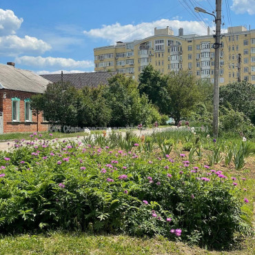 Продам дом, Петра Болбочана ул. , 37 м², 3 сот., советский ремонт 