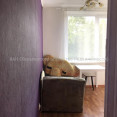 Сдам квартиру, Салтовское шоссе , 256 , 1  ком., 32 м², косметический ремонт 