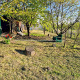 Продам будинок, Полевая ул. , 55 м², 15 соток, советский ремонт 