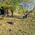 Продам будинок, Полевая ул. , 55 м², 15 соток, советский ремонт 