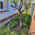 Продам будинок, Полевая ул. , 55 м², 15 соток, советский ремонт 