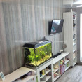Продам квартиру, Юбилейный просп. , 1  ком., 34 м², евроремонт 
