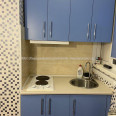 Продам квартиру, Мирослава Мисли ул. , 1  ком., 20 м², капитальный ремонт 