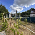 Продам будинок, Мира пр. , 60 м², 13 соток, косметический ремонт 