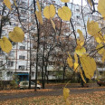 Продам квартиру, Амосова ул. , 3 кім., 65 м², косметический ремонт 
