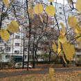 Продам квартиру, Амосова ул. , 3 кім., 65 м², косметический ремонт 